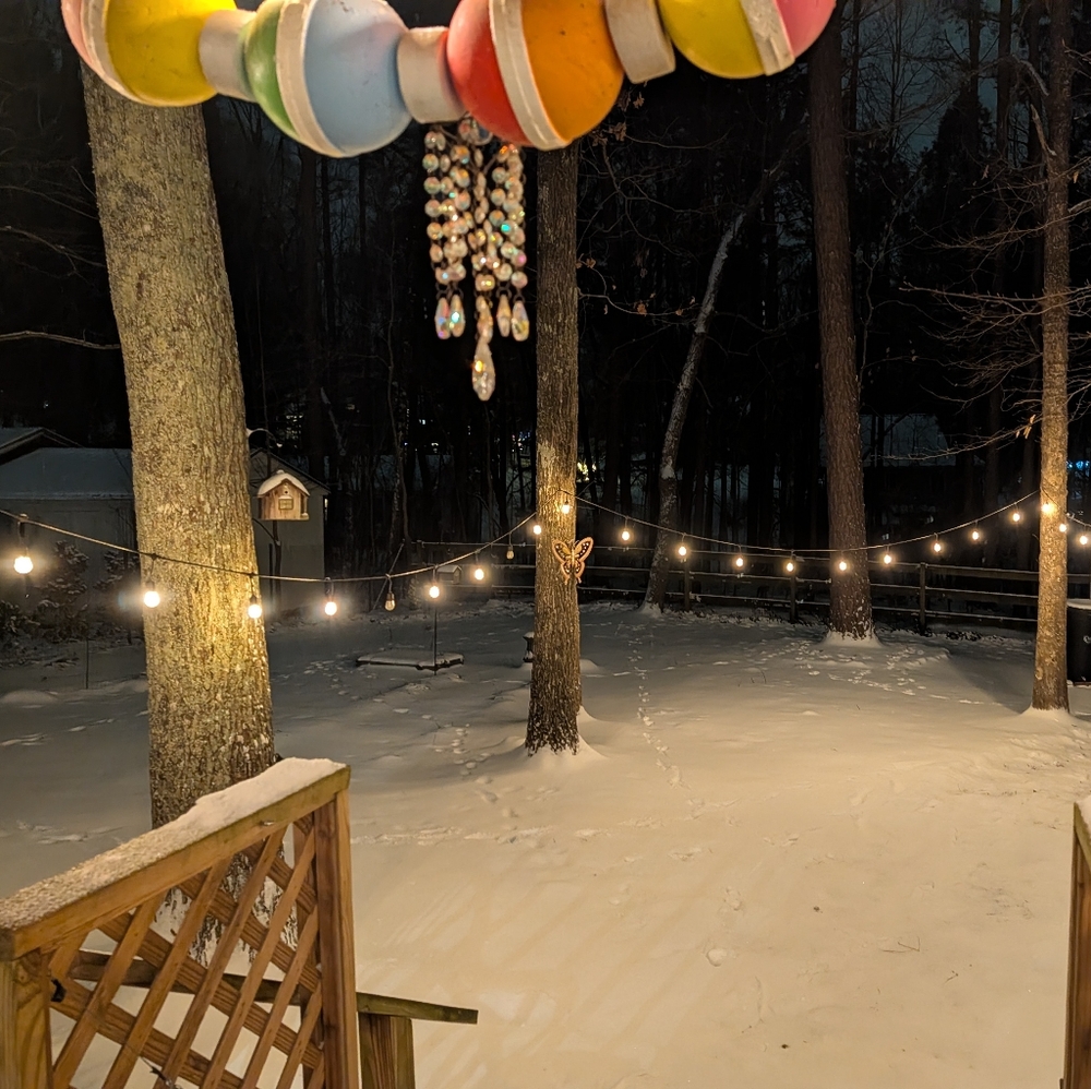 Snowy Days & Icy Nights